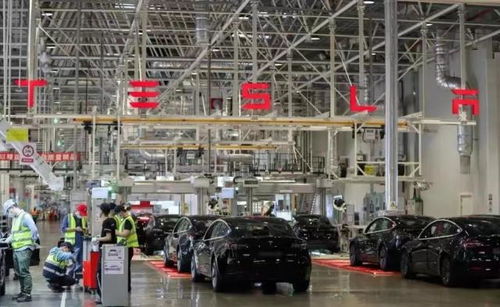 特斯拉否認降價傳聞引發網友熱議